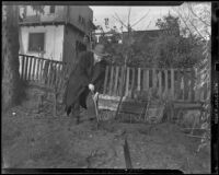 Detective Eugene Bechtel searches the property of William Spinelli, Los Angeles, 1938