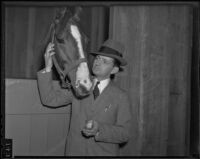 Trainer Lloyd Gentry and "Crofter" prepare for the Canadian's first race on American soil, Arcadia, 1935