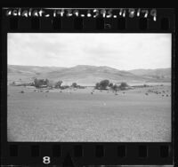 Headquarters camp of Irvine Ranch in Bommer Canyon, Calif., 1959