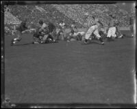 Football Game between the UC Berkeley Golden Bears and USC Trojans at the Coliseum, Los Angeles, 1934