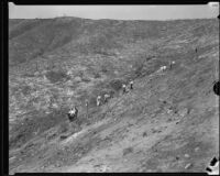 Officials or family members visit a burned out area of Griffith Park where workers died, Los Angeles, 1932