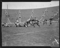 UCLA Bruin runs with the ball during the football game between UCLA and St. Mary's, Los Angeles, 1934