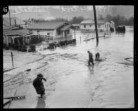 Ingledale Terrace flooded during storm, Los Angeles, 1927