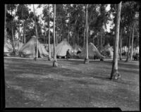 Tent encampment in a park after the Long Beach earthquake, Southern California, 1933