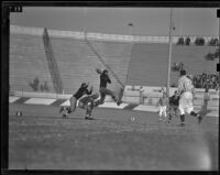 U.C.L.A. Bruins play Oregon State Beavers at Coliseum, Los Angeles, 1938