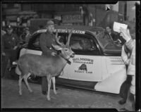 Warden C. L. Savage and Chiefie the deer, Los Angeles, 1936