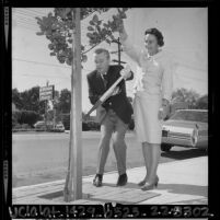 George Gobel with Phyllis Jackson pruning a tree on Ventura Blvd. for beautification campaign in Encino, Calif., 1964