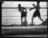 Boxers Young Stribling and Eddie Huffman fighting at Ascot Arena, Los Angeles, 1925