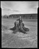 Sea lion trainer from Al G. Barnes Circus feeding his sea lions, Baldwin Park, 1936