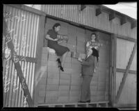 Allyne Pyle, Lon W. Butler, and Georgia Niles with the new license plates Los Angeles, 1938