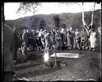 Field Marshal Viscount Allenby plants an olive tree at the Arboretum of Los Angeles County, Arcadia, 1928