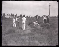 Prisoners digging for bones on Northcott Chicken Ranch, Riverside County, 1928-1929