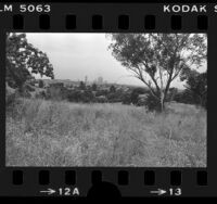 Undeveloped Garbutt-Hathway Estate in Silver Lake, Calif., 1978