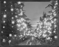 Illuminated trees in Pasadena, 1935