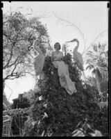 Helen Waters on the "Birds of Paradise" float in the Tournament of Roses Parade, Pasadena, 1935