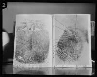 Thirteen-point fingerprint comparison purported to belong to William Edward Hickman, Los Angeles, 1927 or 28