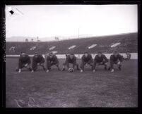 Georgia Tech's offensive line in three-point stance at the Rose Bowl, Pasadena, 1929