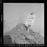 Sign on top of groundhog hole declaring "Do Not Disturb! For Another Six Weeks," 1964