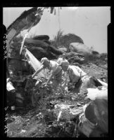 Wreckage of Standard Airlines C-46 is examined for clues regarding the cause of the crash, 1949