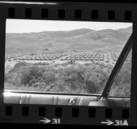 Tent city at Vietnamese refugee camp at Camp Pendleton, Calif., 1975