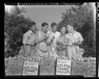 South American men sent to Calif. to study aeronautics picking fruit in La Puente, Calif., 1942