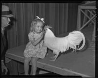 Joann Malcom and a Leghorn chicken, Los Angeles, 1936