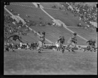 U.C.L.A. Bruins play Oregon State Beavers at Coliseum, Los Angeles, 1938