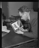 Los Angeles police captain Howard L. Barlow inspecting fingerprint images, Los Angeles, 1934