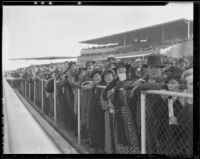 Spectators watch a horse race at Santa Anita Park, Arcadia, 1936