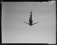 Dorothy Poynton, Olympic diver, in straight position during the flight of a dive, 1932