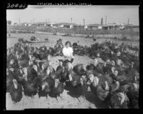 Diane Vaccaro surrounded by birds at only turkey ranch left in Torrance, Calif., 1959