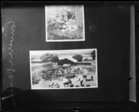 Women, children, and cattle on Converse Ranch, Santa Paula, 1922