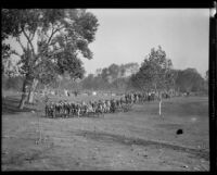 Boy Scouts run in a long line at a camping event in a park, circa 1935