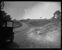 Pacific Coast Highway, [Orange County?], [1930 or 1931?]