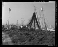 Know Your City No.111 Fishermen sorting nets at Fisherman's Wharf Los Angeles Harbor, Calif