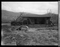 Damaged house following the failure of the Saint Francis Dam and resulting flood, Santa Clara River Valley (Calif.), 1928