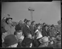 Fans cheering U.S.C. Trojans and Duke Blue Devils at the Rose Bowl, Pasadena, 1939