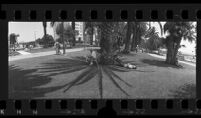 Wide angle view of Palisades Park in Santa Monica, Calif., 1976