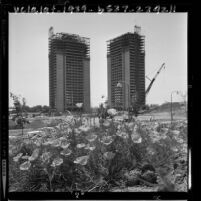 Construction on skeleton of the 27 story twin towers of Century Towers apartments in Century City, Calif., 1964