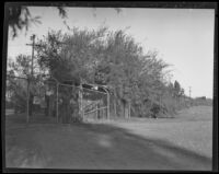 U.S.-Mexico border, Andrade, 1920-1939