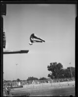 Dorothy Poynton, Olympic diver, in a pike position during the flight of a dive, 1932