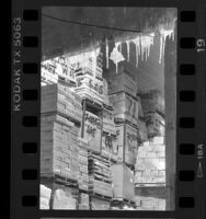 Library books in cold storage, Los Angeles, Calif., 1987