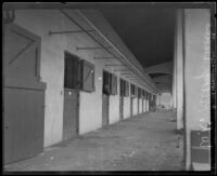 Horse stables at K.W. Kellogg's horse ranch, Pomona, 1932