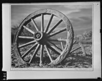 Photograph of a wheel on exhibit at the Los Angeles Museum, Los Angeles, 1939