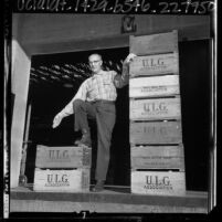 Upland Lemon Growers Association of California employee standing with wooden fruit crates, Calif., 1965