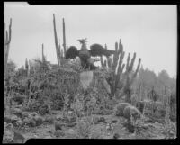 Eagle statue in the Desert Garden at the Huntington Botanical Gardens, San Marino, 1927-1939