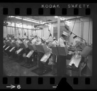 Meat cutters at Collins Foods' chicken processing plant in Los Angeles, Calif., 1972