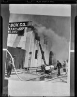 Firefighters at base of ladder around fallen firefighter Bert Hancock, Los Angeles, 1938