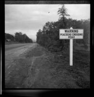 Road and sign, Rancho Santa Anita, Arcadia, 1938