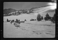 Sled dogs, men, and toboggan in snow, recovery operation, June Lake, 1938